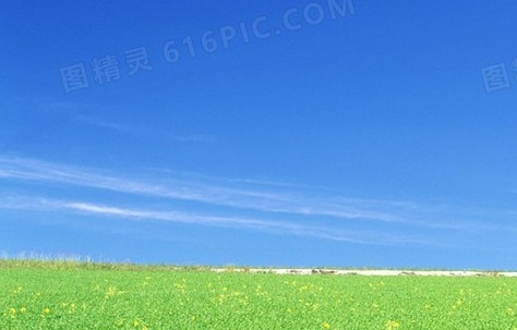 深圳粉象生活加盟代理