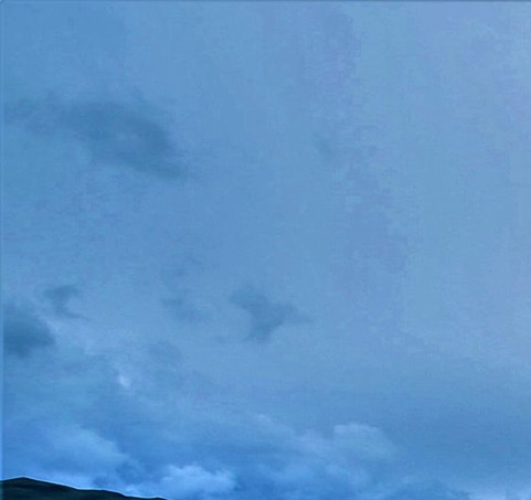 安徽粉象生活app