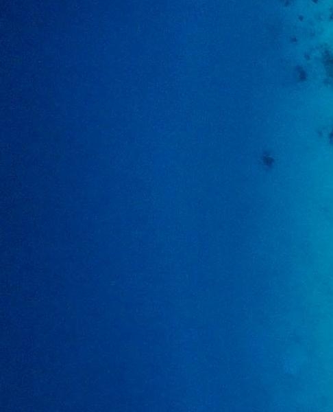 粉象生活怎么加入代理商