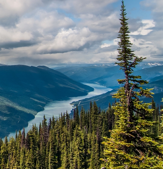 粉象生活可以赚钱吗