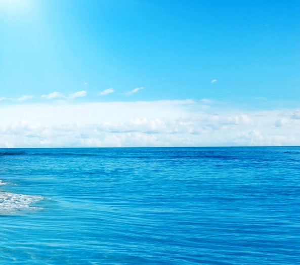 粉象生活可以赚钱吗