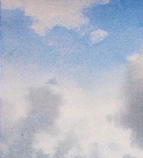 粉象生活