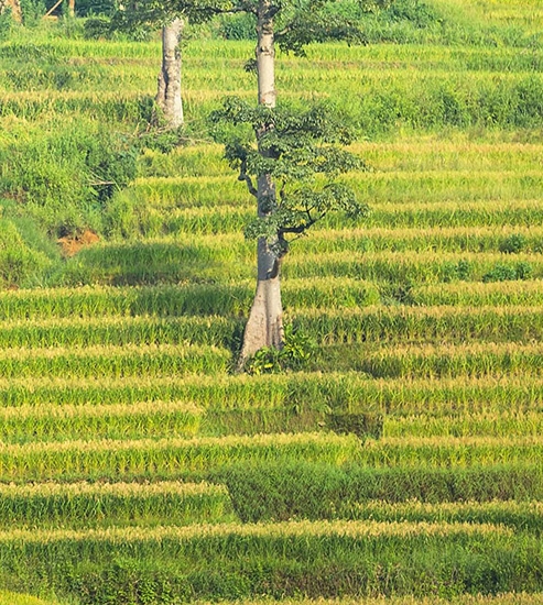 粉象生活怎么添加微信
