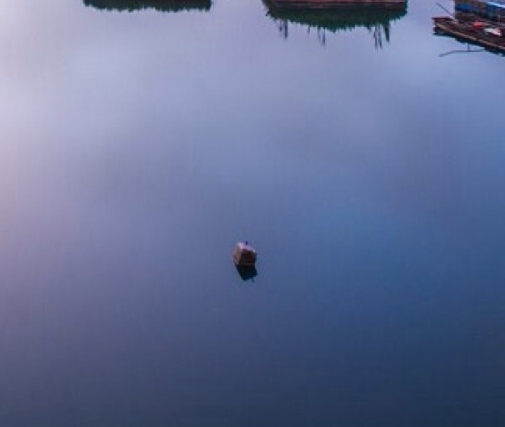 粉象生活代理模式