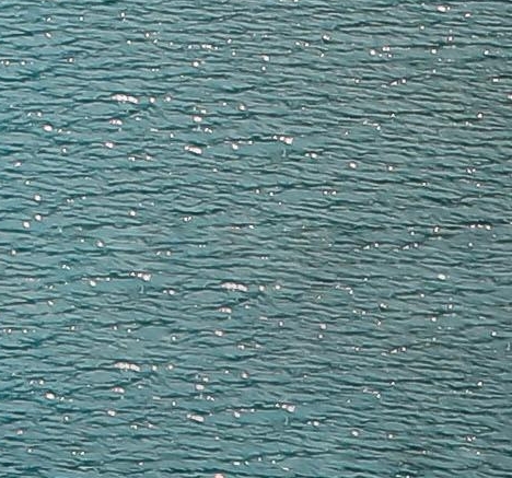 粉象生活邀请码