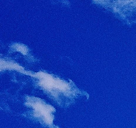 粉象生活看完视频截图