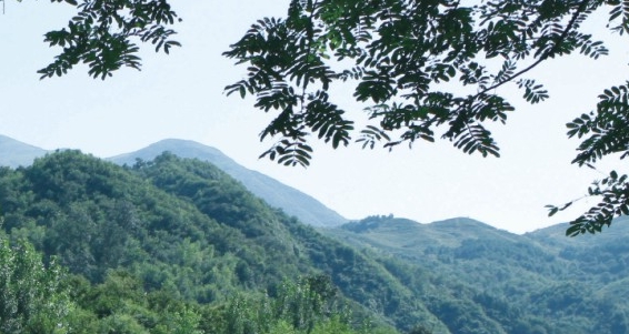 粉象生活邀请码粉象生活