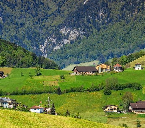 粉象生活邀请码