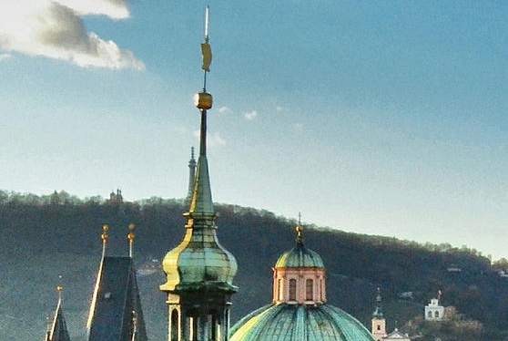 威海粉象生活收入