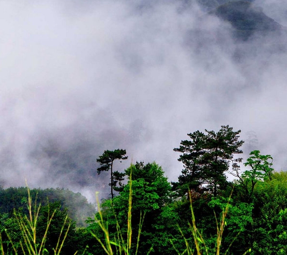 加入粉象生活怎么赚钱