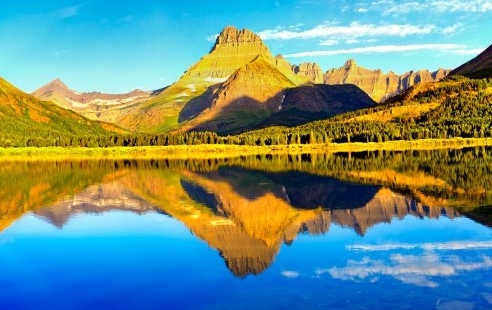 粉象生活有什么项目