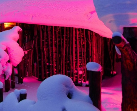 粉象生活怎么推广引流加粉丝