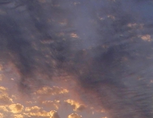 怎样才能把粉象生活做起来