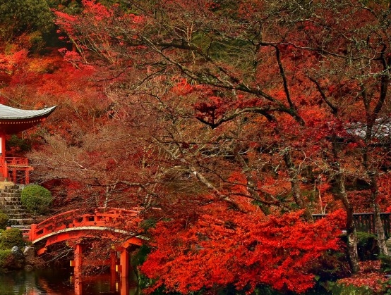 粉象生活代理有钱赚吗