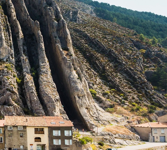 粉象生活全套app