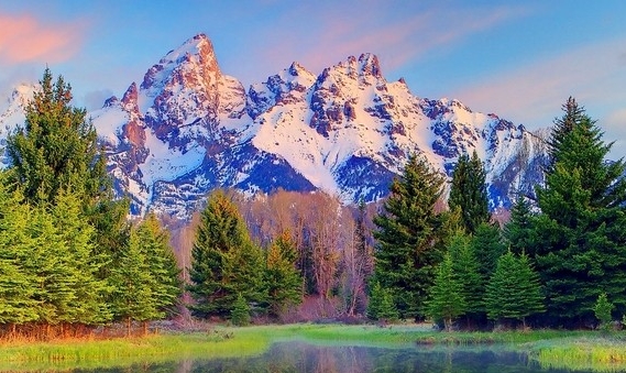 怎样在粉象生活里赚到钱