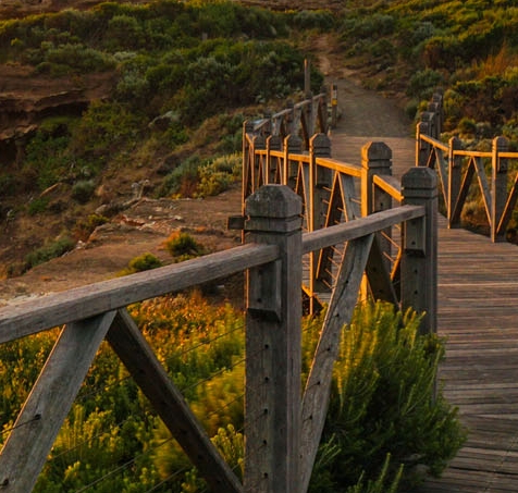 粉象生活是怎么赚钱的