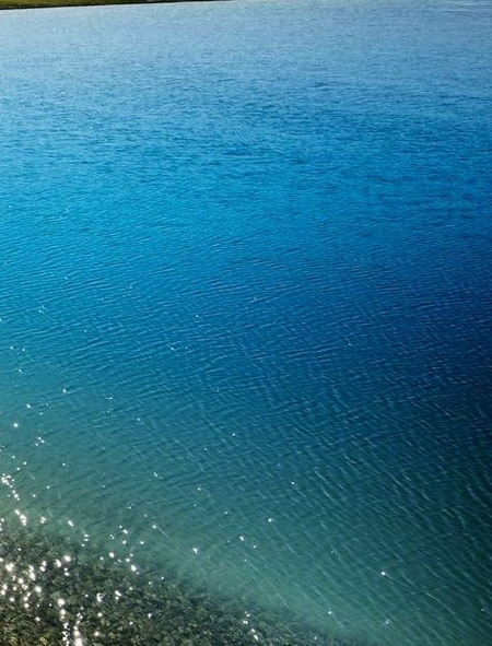 粉象生活下载app