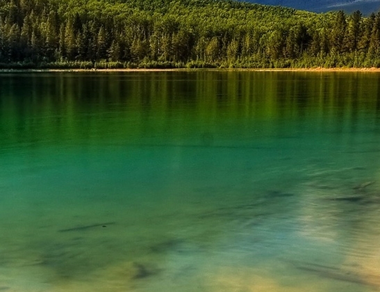 粉象生活邀请码