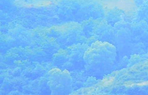 粉象生活