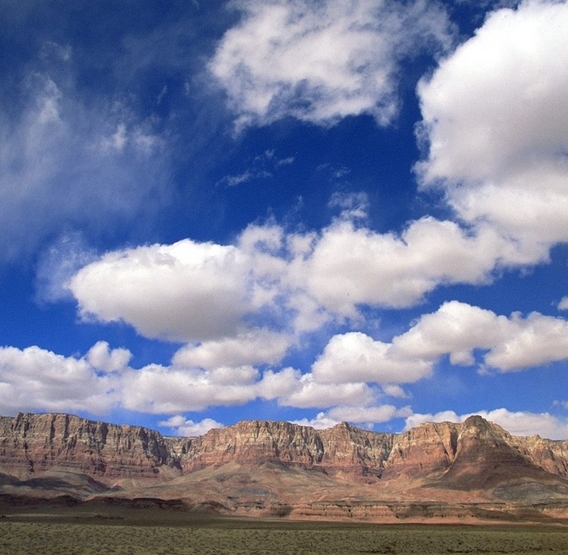 粉象生活可以赚钱吗