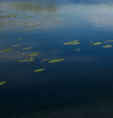 粉象生活是干什么的