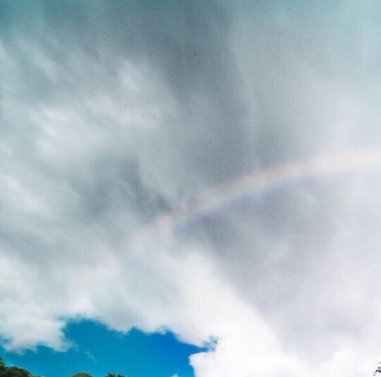 粉象生活怎么添加邀请码