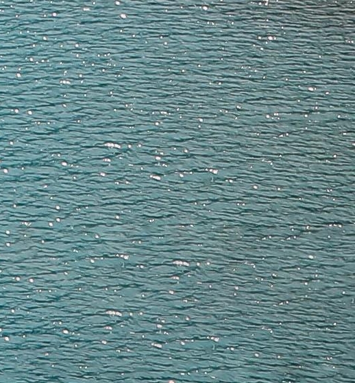 粉象生活可以赚钱吗