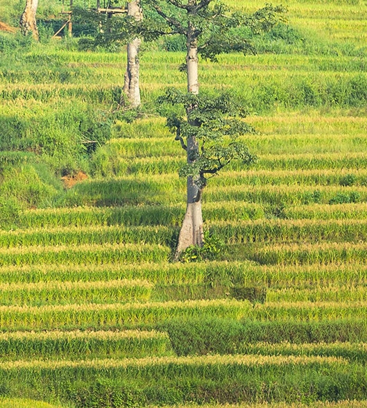 粉象生活可以赚钱吗