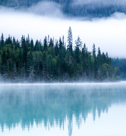 粉象生活vip权益