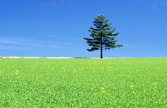 珠海粉象生活如何使用