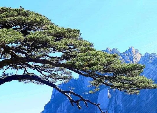 粉象生活怎么做赚钱