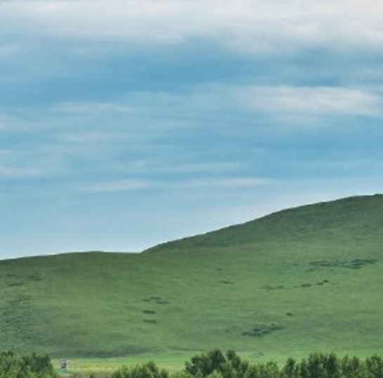 粉象生活的真实用户