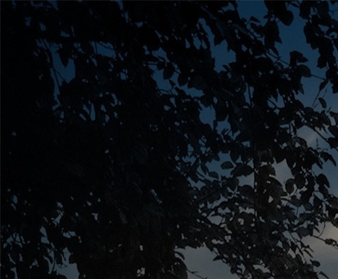 粉象生活怎么分成