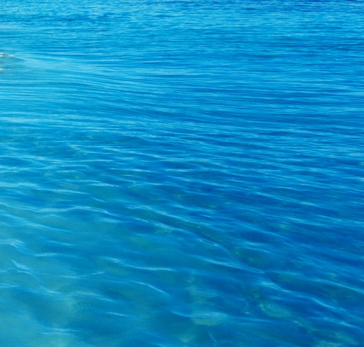 粉象生活电信卡