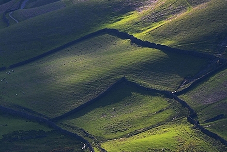 粉象生活邀请不了好友