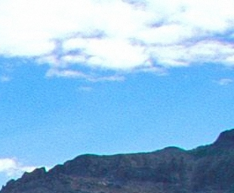 粉象生活app