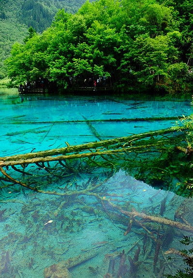 粉象生活到底能不能做