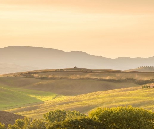 粉象生活自己的产品怎么卖