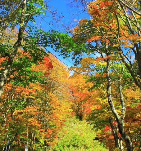 在四川乐山生活怎么样