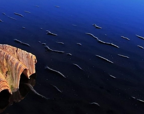 粉象生活优缺点