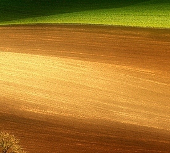 乡村生活的坏处