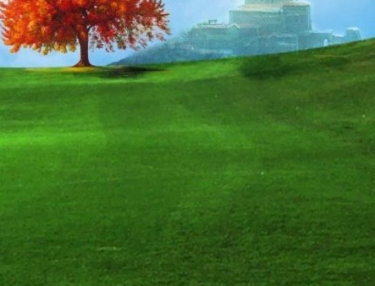 粉象生活是怎么赚钱的