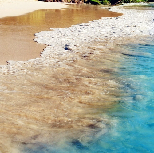 粉象生活下载app