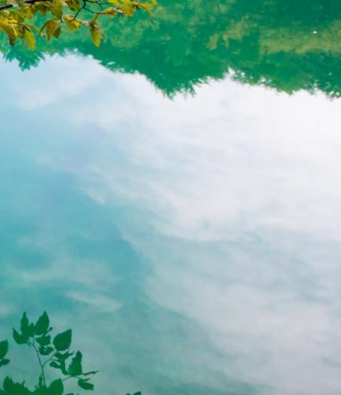 粉象生活赚钱教程