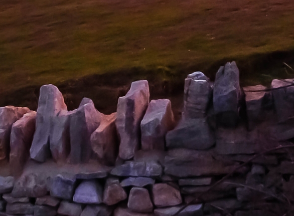 粉象生活的代理