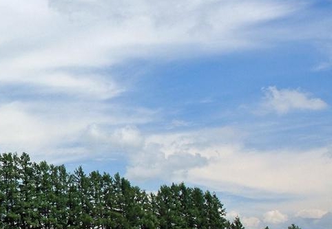 粉象生活怎么用账号登录