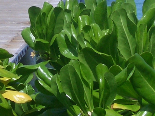 粉象生活下载官方正版