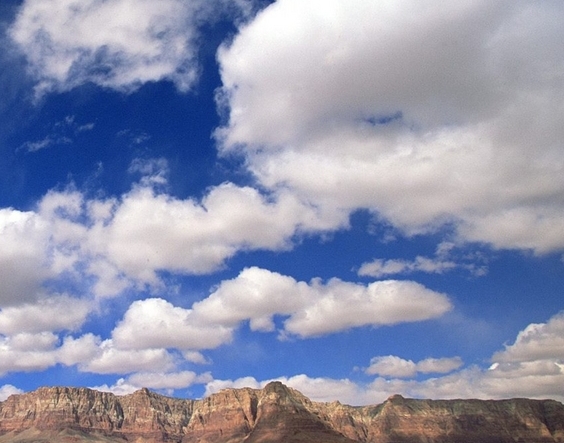 粉象传媒有限公司