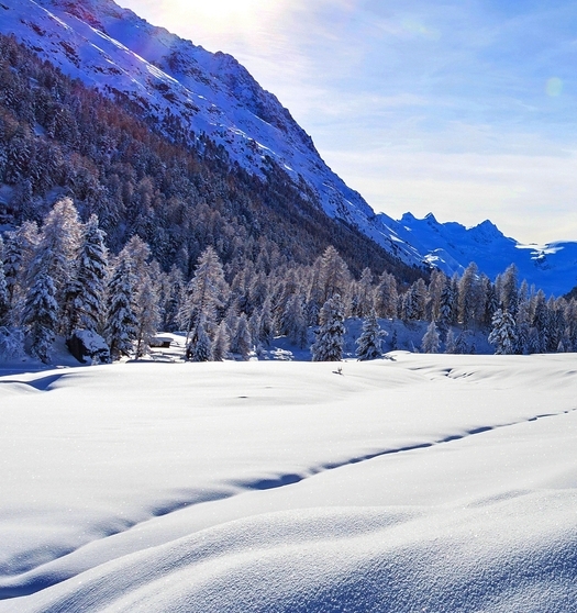 粉象生活京东怎么使用